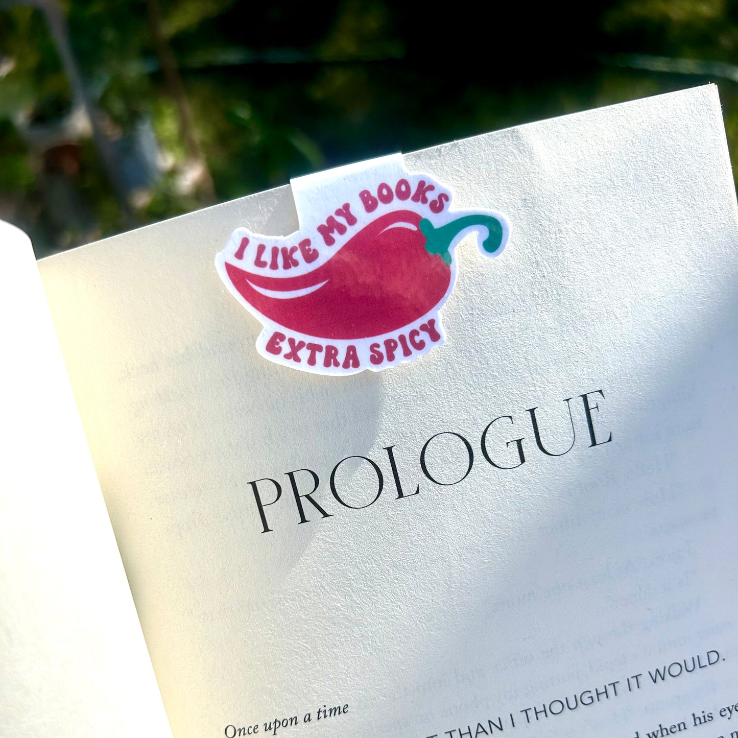 I Like My Books Extra Spicy